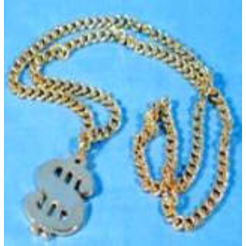 Dollar Sign Necklace