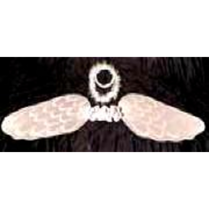 Angel Wings & Halo  Fairy Angle Set